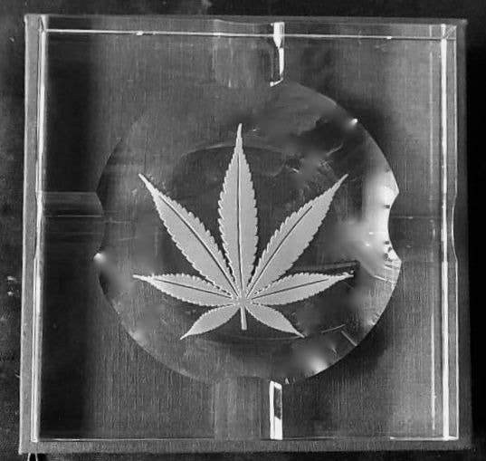 Clear glass cigar ashtray with marijuana leaf design etched in center