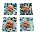 Your Pet Coaster Set