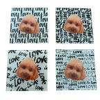 Your Pet Coaster Set