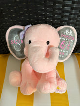 Load image into Gallery viewer, Personalized Baby Stats Plush Keepsake

