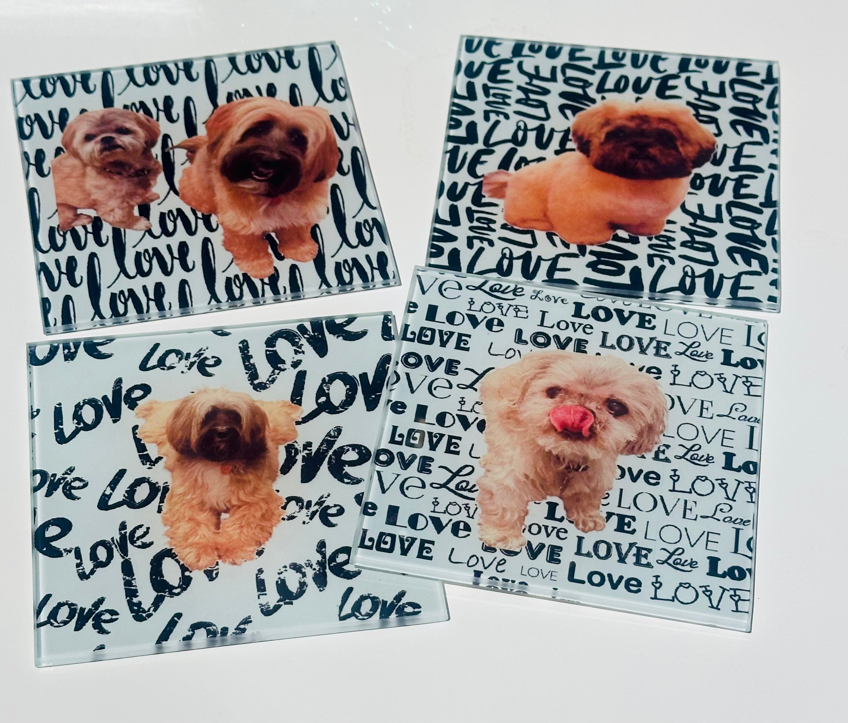 Your Pet Coaster Set