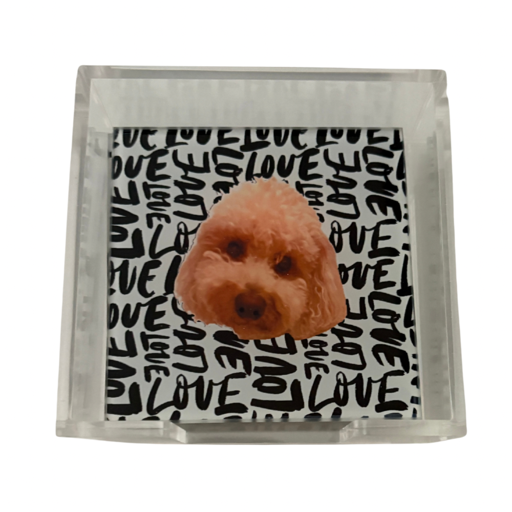 Your Pet Coaster Set