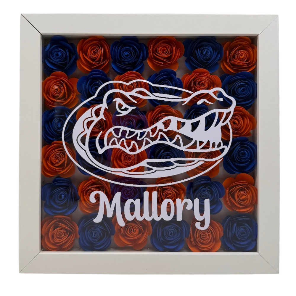 College Shadow Box