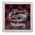 College Shadow Box