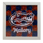 College Shadow Box