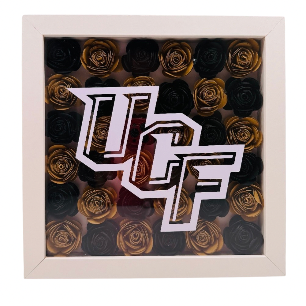 College Shadow Box