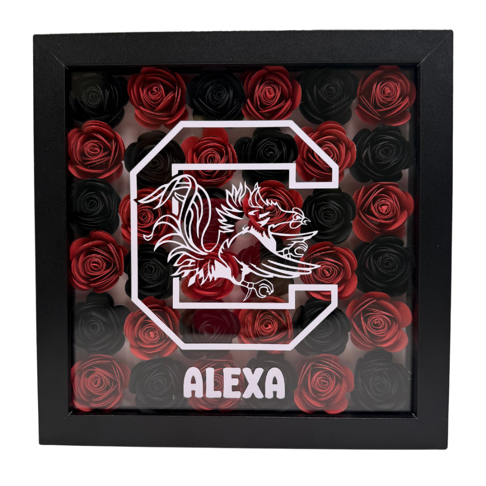 College Shadow Box