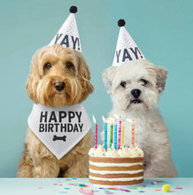 Load image into Gallery viewer, Pet Birthday Box
