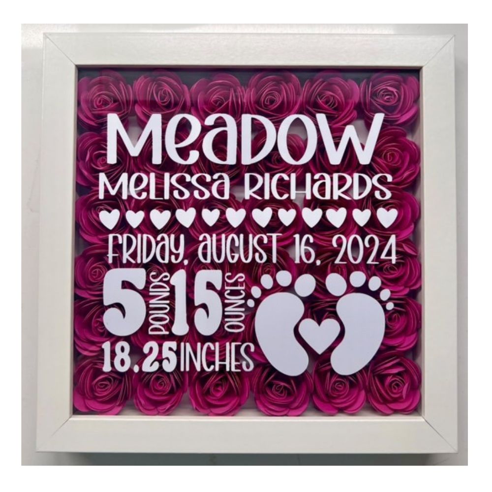 Baby Stats Shadow Box