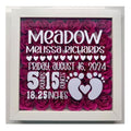 Baby Stats Shadow Box